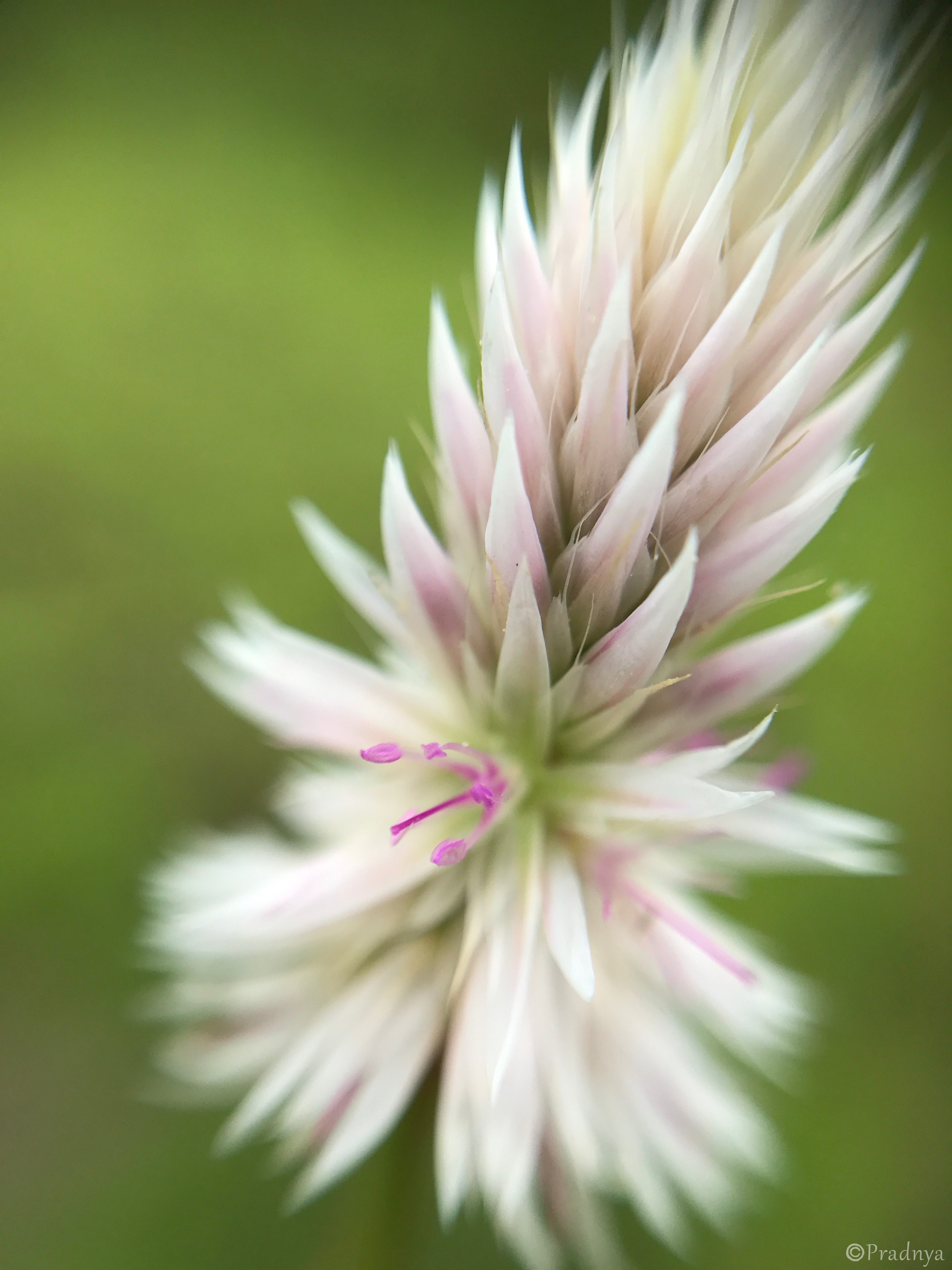 My 3 Most Favourite Inspirational Quotes…Three Days , Three Quotes Challenge