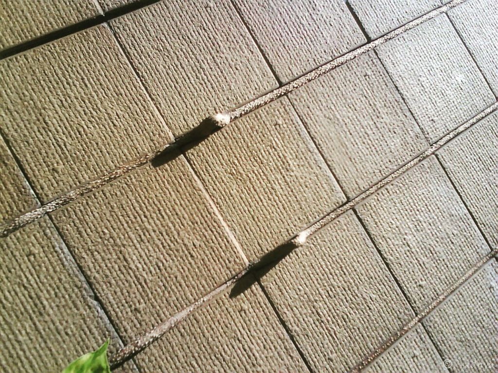 Creeping Up The Wall