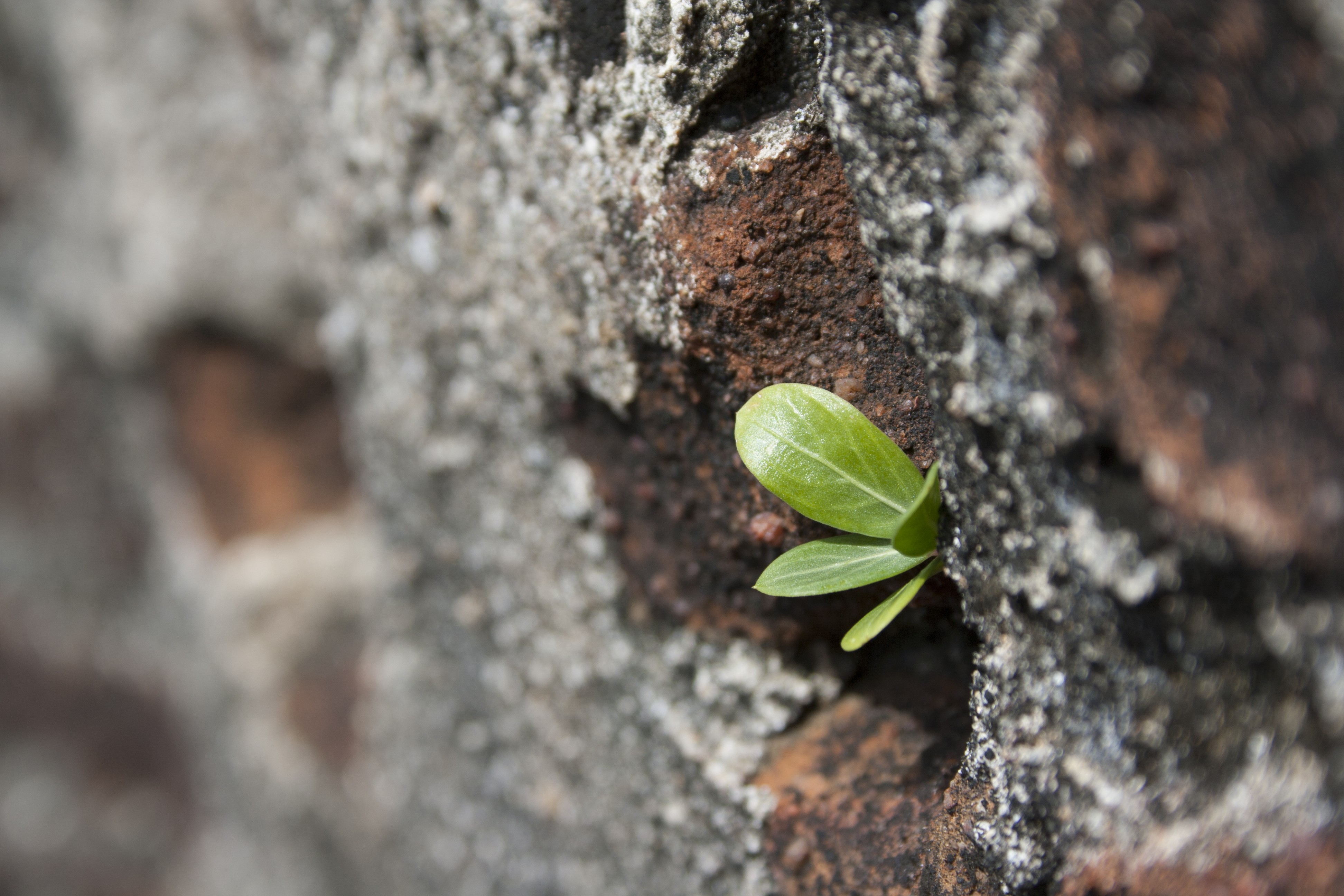 3.2.1 Quote Me Challenge!